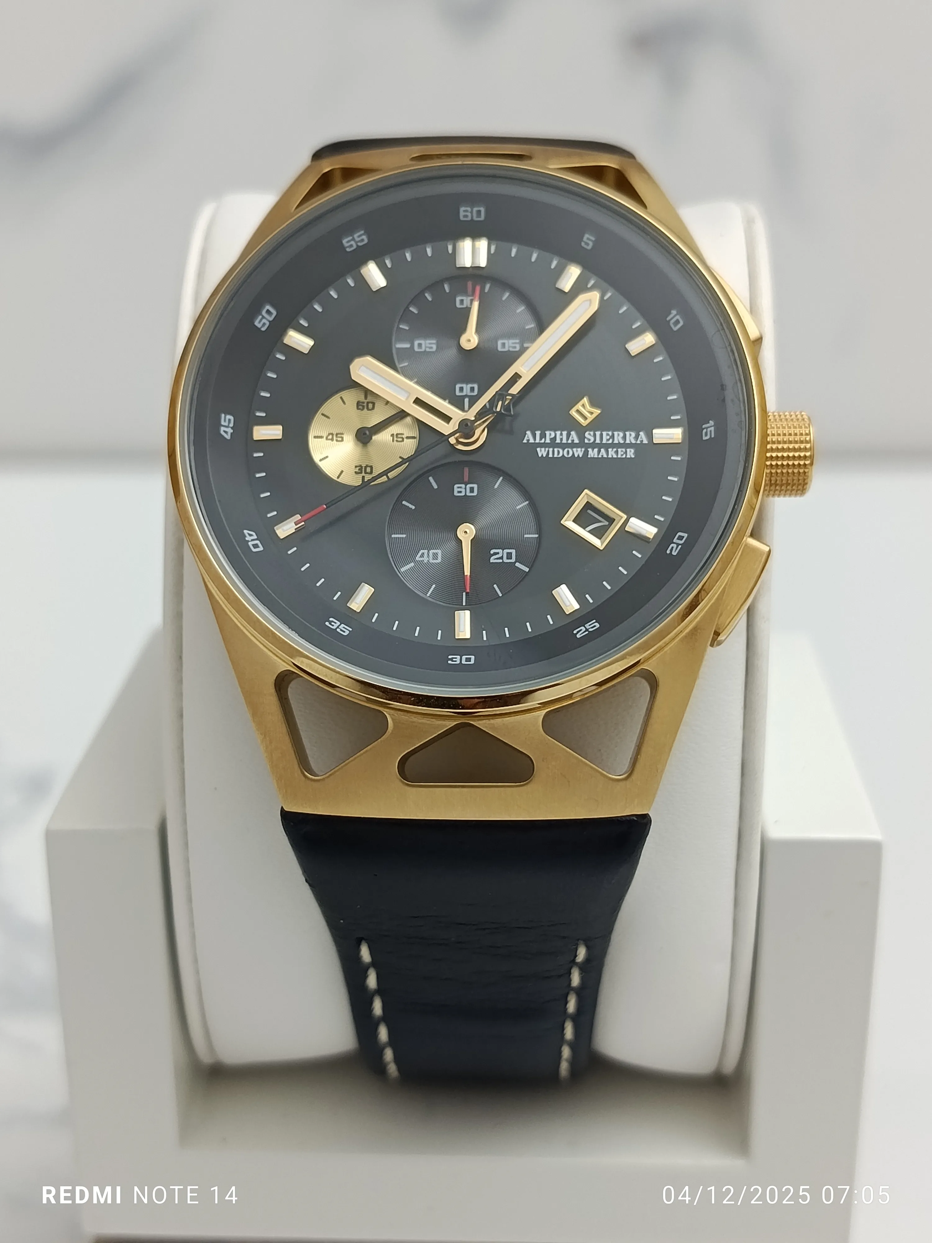 Montre Alpha Sierra Homme AS007H